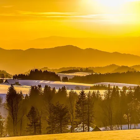 Haus Elisabeth - Tannenwipfel, 1 Schlafzimmer, Feldberg *