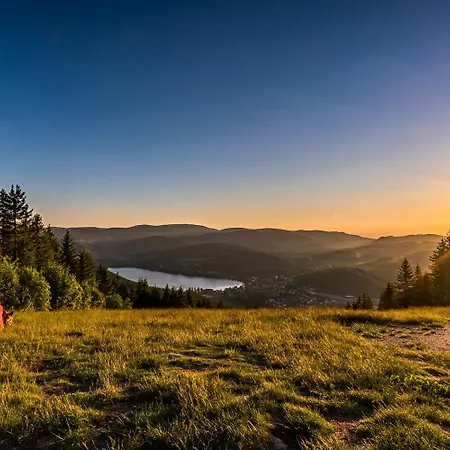 Haus Elisabeth - Tannenwipfel, 1 Schlafzimmer, Feldberg