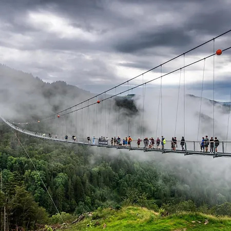 Haus Elisabeth - Tannenwipfel, 1 Schlafzimmer, Feldberg *