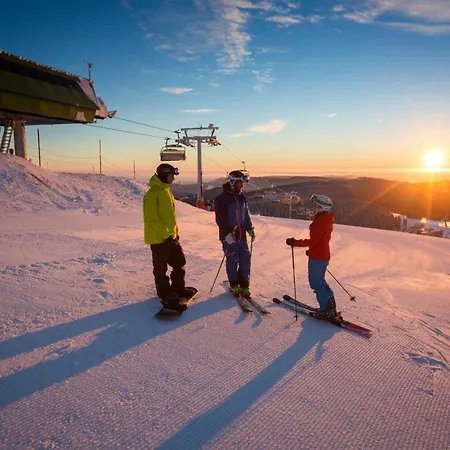 Haus Elisabeth - Tannenwipfel, 1 Schlafzimmer, Feldberg Feldberg (Baden-Wurttemberg)