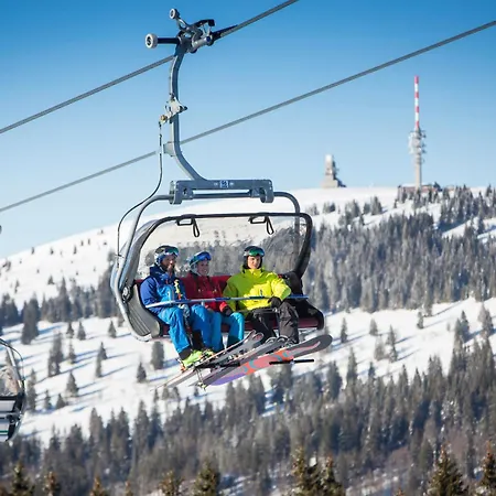 Haus Elisabeth - Tannenwipfel, 1 Schlafzimmer, Feldberg Apartament