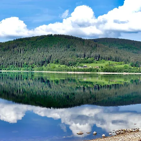 Apartament Haus Elisabeth - Tannenwipfel, 1 Schlafzimmer, Feldberg *