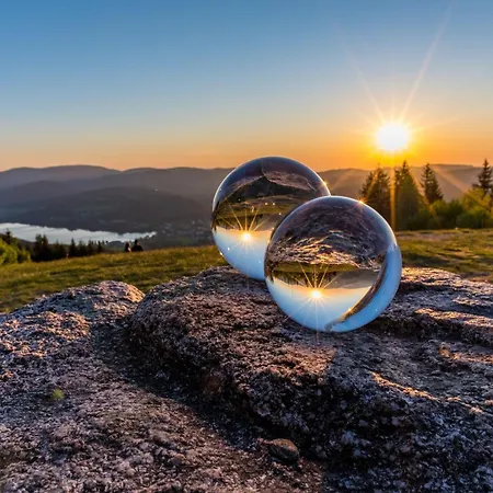 شقة Haus Elisabeth - Tannenwipfel, 1 Schlafzimmer, Feldberg