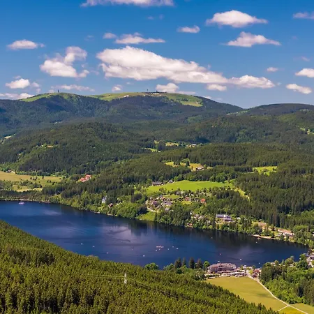 Apartament Haus Elisabeth - Tannenwipfel, 1 Schlafzimmer, Feldberg *