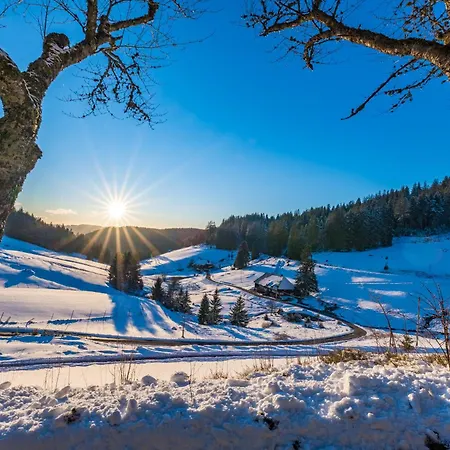 شقة Haus Elisabeth - Tannenwipfel, 1 Schlafzimmer, Feldberg Neuglashutten