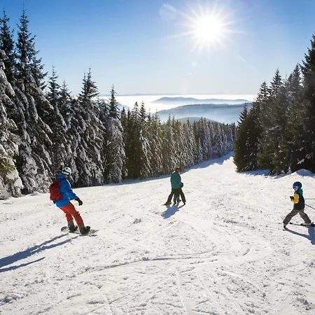 Haus Elisabeth - Tannenwipfel, 1 Schlafzimmer, Feldberg * Neuglashutten
