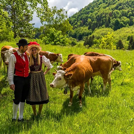 Haus Elisabeth - Tannenwipfel, 1 Schlafzimmer, Feldberg شقة Neuglashutten