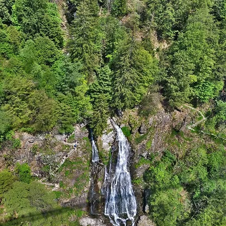 Haus Elisabeth - Tannenwipfel, 1 Schlafzimmer, Feldberg Neuglashutten