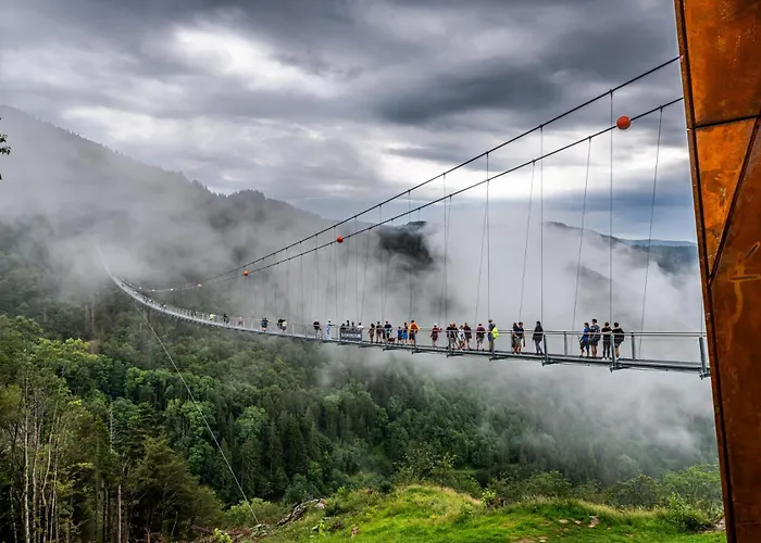 Haus Elisabeth - Tannenwipfel, 1 Schlafzimmer, *