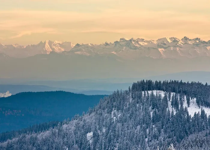 アパート Haus Elisabeth - Tannenwipfel, 1 Schlafzimmer, フェルトベルク