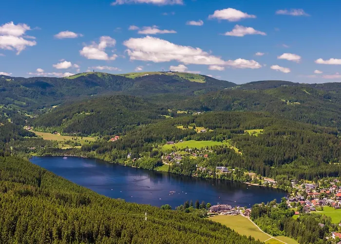 アパート Haus Elisabeth - Tannenwipfel, 1 Schlafzimmer, *