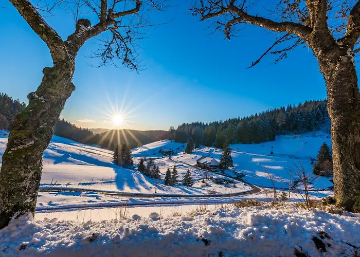 アパート Haus Elisabeth - Tannenwipfel, 1 Schlafzimmer, フェルトベルク