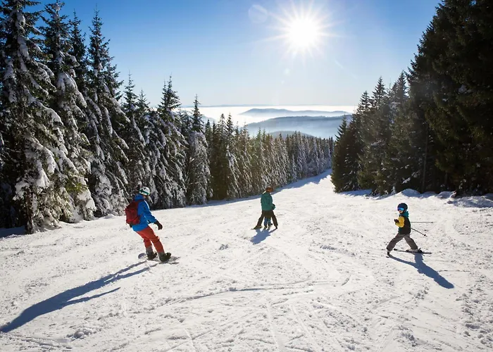 Haus Elisabeth - Tannenwipfel, 1 Schlafzimmer, * フェルトベルク