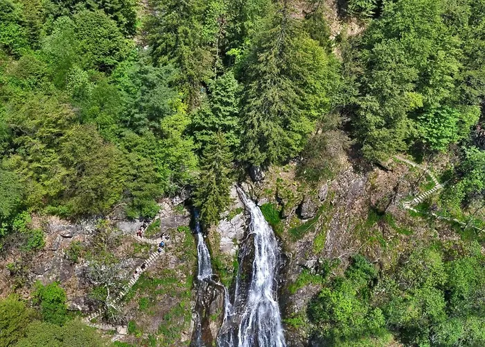 Haus Elisabeth - Tannenwipfel, 1 Schlafzimmer, フェルトベルク